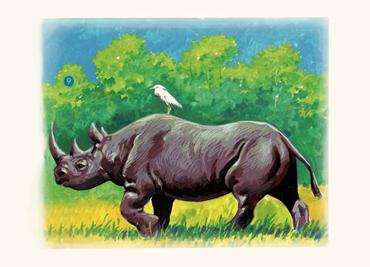 Rinoceronte pintado con témperas