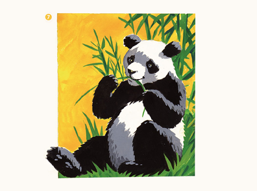 Dibuja un oso panda con temperas